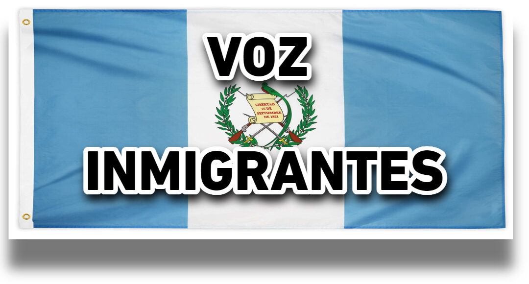 LOGO voz inmigrante new